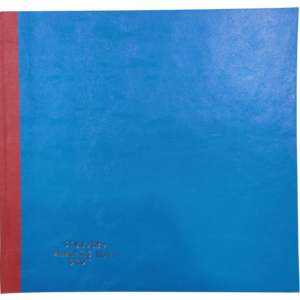 Standard Analysis Book S207